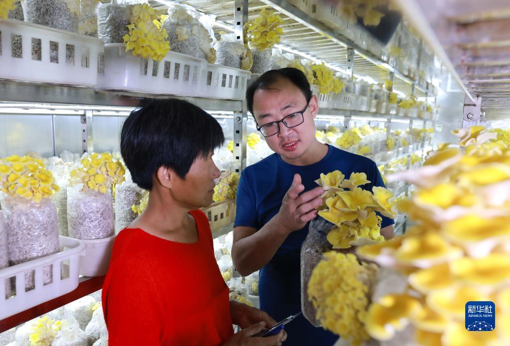 银河摆脱送彩金